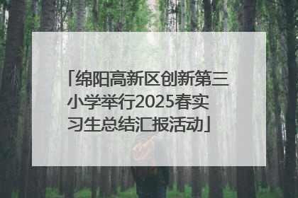 绵阳高新区创新第三小学举行2025春实习生总结汇报活动