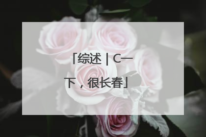 综述｜C一下，很长春