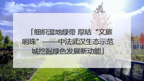细织湿地绿带 厚结“文旅明珠”——中法武汉生态示范城挖掘绿色发展新动能