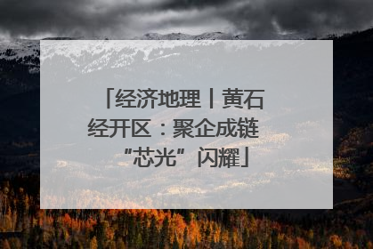 经济地理丨黄石经开区：聚企成链“芯光”闪耀