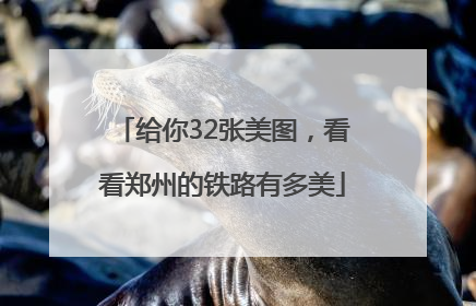 给你32张美图，看看郑州的铁路有多美