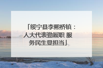 绥宁县李熙桥镇：人大代表勤履职 服务民生显担当