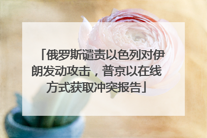 俄罗斯谴责以色列对伊朗发动攻击，普京以在线方式获取冲突报告