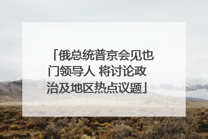 俄总统普京会见也门领导人 将讨论政治及地区热点议题