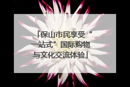 保山市民享受“一站式”国际购物与文化交流体验