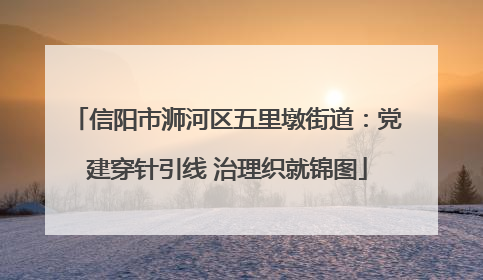 信阳市浉河区五里墩街道：党建穿针引线 治理织就锦图