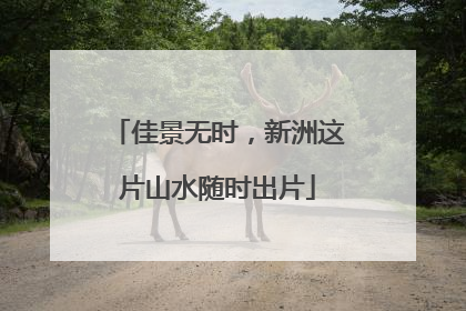 佳景无时，新洲这片山水随时出片