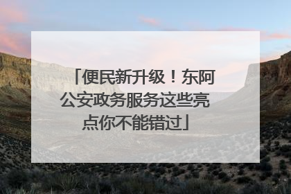 便民新升级！东阿公安政务服务这些亮点你不能错过