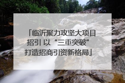 临沂聚力攻坚大项目招引 以“三重突破”打造招商引资新格局