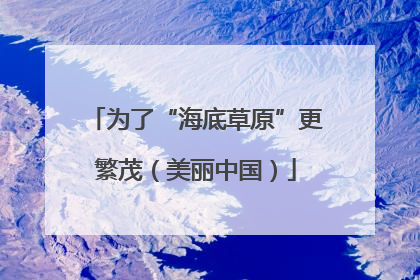 为了“海底草原”更繁茂（美丽中国）