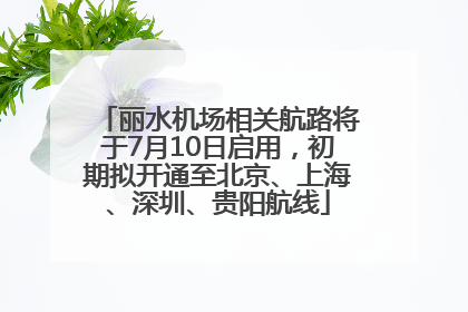 丽水机场相关航路将于7月10日启用，初期拟开通至北京、上海、深圳、贵阳航线