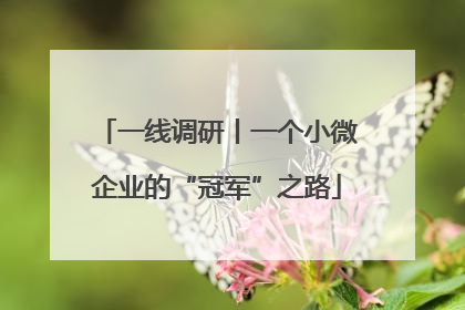 一线调研丨一个小微企业的“冠军”之路