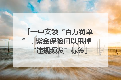一中支领“百万罚单”，紫金保险何以甩掉“违规频发”标签