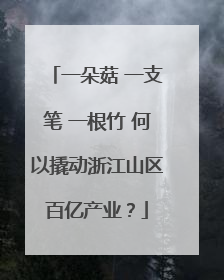 一朵菇 一支笔 一根竹 何以撬动浙江山区百亿产业？