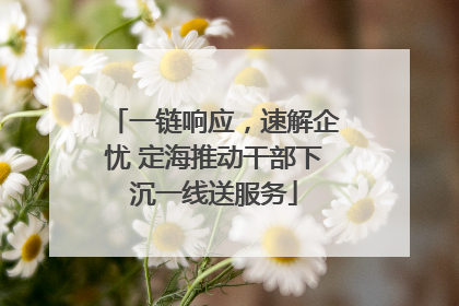 一链响应，速解企忧 定海推动干部下沉一线送服务