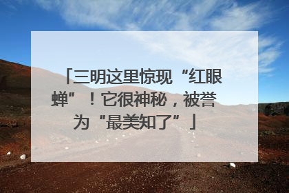 三明这里惊现“红眼蝉”！它很神秘，被誉为“最美知了”