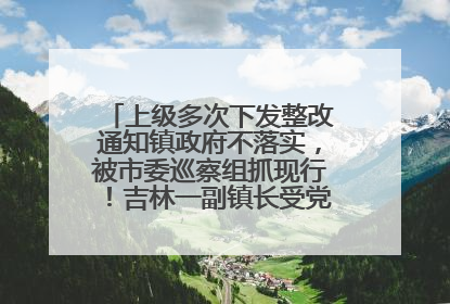 上级多次下发整改通知镇政府不落实，被市委巡察组抓现行！吉林一副镇长受党内警告处分