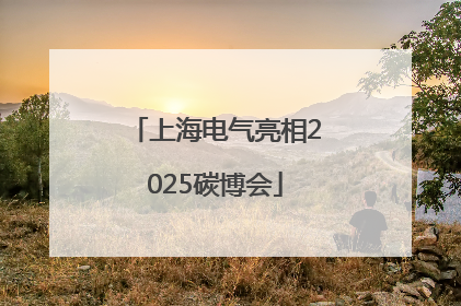 上海电气亮相2025碳博会