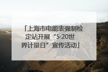 上海市电能表强制检定站开展“5·20世界计量日”宣传活动