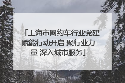 上海市网约车行业党建赋能行动开启 聚行业力量 深入城市服务