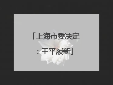 上海市委决定：王平履新