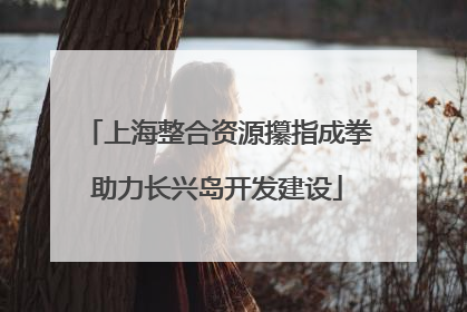 上海整合资源攥指成拳助力长兴岛开发建设