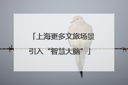 上海更多文旅场景引入“智慧大脑”