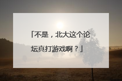 不是，北大这个论坛真打游戏啊？