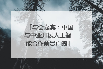 与会嘉宾：中国与中亚开展人工智能合作前景广阔