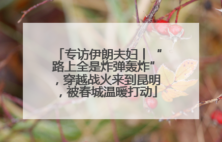 专访伊朗夫妇丨“路上全是炸弹轰炸”，穿越战火来到昆明，被春城温暖打动