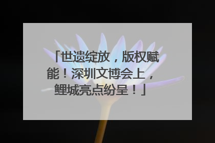 世遗绽放，版权赋能！深圳文博会上，鲤城亮点纷呈！