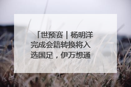 世预赛｜杨明洋完成会籍转换将入选国足，伊万想通了要打双后腰？