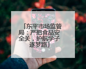 东平市场监管局：严把食品安全关，护航学子逐梦路