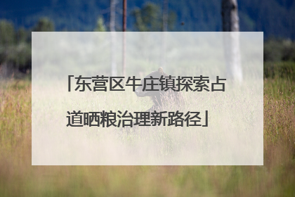 东营区牛庄镇探索占道晒粮治理新路径