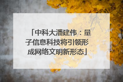 中科大潘建伟：量子信息科技将引领形成网络文明新形态