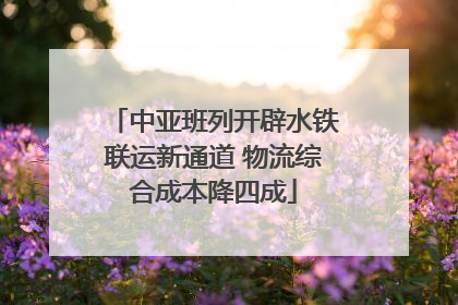 中亚班列开辟水铁联运新通道 物流综合成本降四成