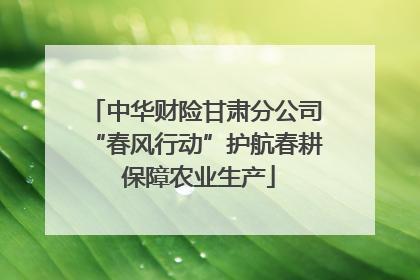 中华财险甘肃分公司“春风行动”护航春耕 保障农业生产