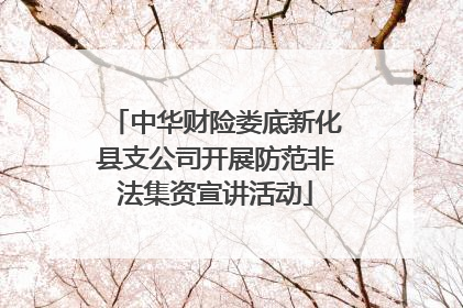 中华财险娄底新化县支公司开展防范非法集资宣讲活动