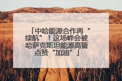 中哈能源合作再“续航”！这场峰会被哈萨克斯坦能源高管点赞“加油”