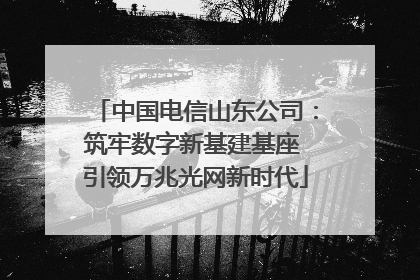 中国电信山东公司：筑牢数字新基建基座 引领万兆光网新时代
