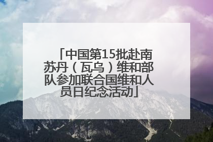 中国第15批赴南苏丹（瓦乌）维和部队参加联合国维和人员日纪念活动