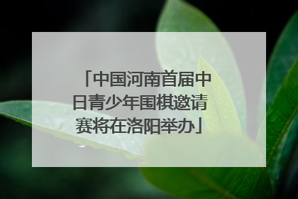 中国河南首届中日青少年围棋邀请赛将在洛阳举办