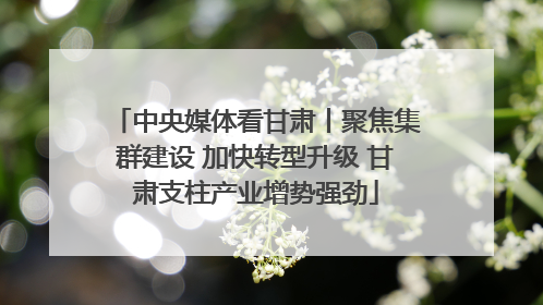 中央媒体看甘肃丨聚焦集群建设 加快转型升级 甘肃支柱产业增势强劲