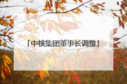 中核集团董事长调整