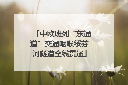 中欧班列“东通道”交通咽喉绥芬河隧道全线贯通