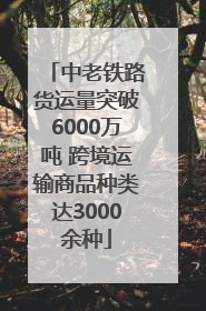 中老铁路货运量突破6000万吨 跨境运输商品种类达3000余种
