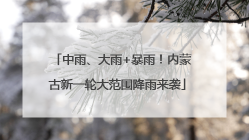 中雨、大雨+暴雨！内蒙古新一轮大范围降雨来袭