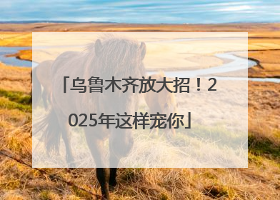 乌鲁木齐放大招！2025年这样宠你