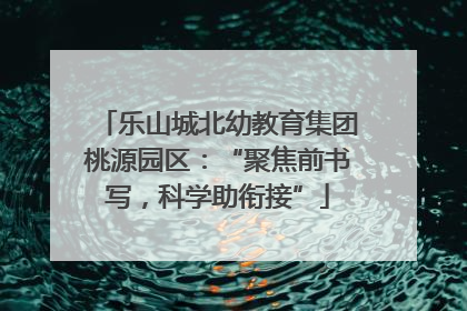 乐山城北幼教育集团桃源园区：“聚焦前书写，科学助衔接”