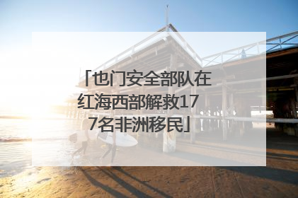 也门安全部队在红海西部解救177名非洲移民
